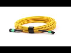 MPO/APC σε MPO/APC 12 Ινών Single Mode OS2 Jumper